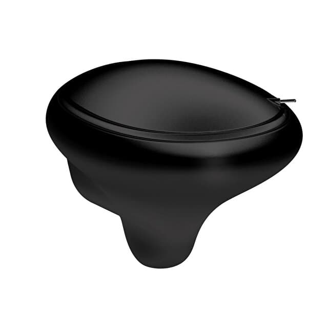 Istanbul Rim-ex W-hung WC Pan-Black VC Vitra 