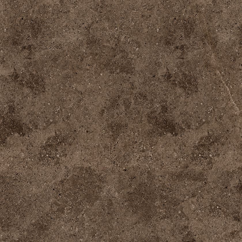 Avola Mocha Lioli 